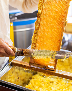 Récoltes